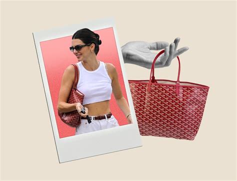 kendall jenner goyard bag|Goyard st louis bag.